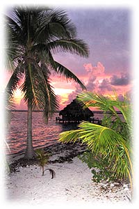 Belize, Belize travel, scuba diving, snorkeling, islands, islands in Belize, beachfront,